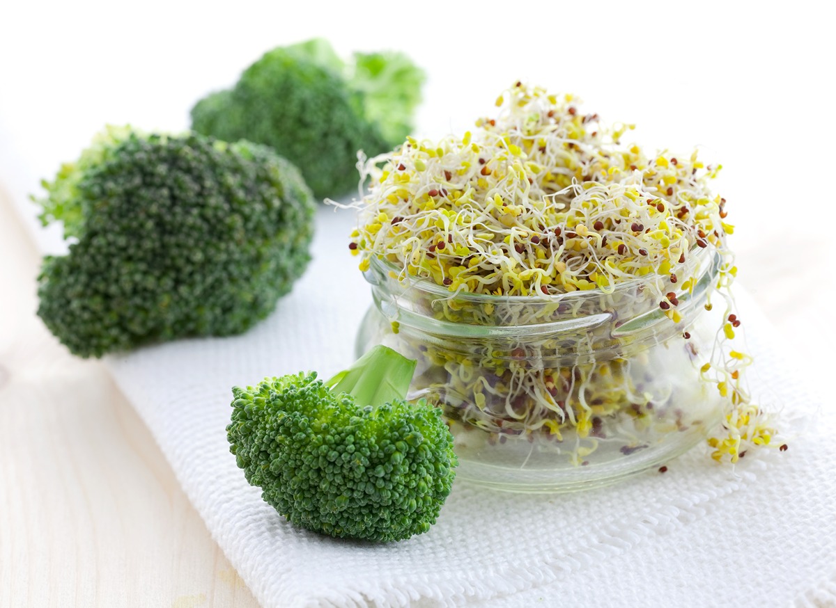 Broccoli Sprouts: Nutrients, Benefits, and More